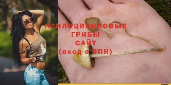 дживик Бугульма
