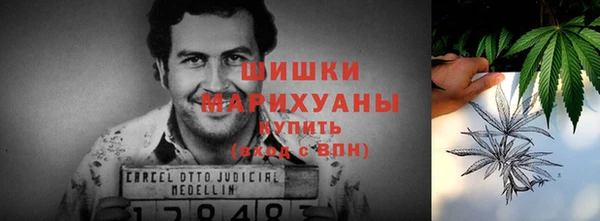 ешки Бронницы