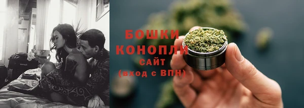 PSILOCYBIN Бородино